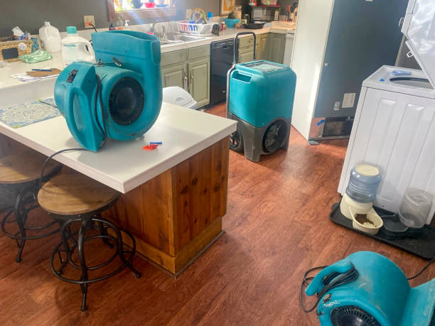 Best Water damage restoration near me  in Ashburn, GA