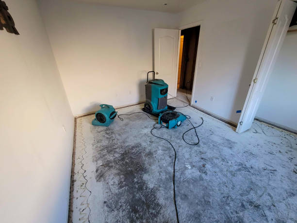 Best 24/7 water damage repair  in Ashburn, GA
