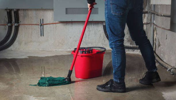 Best Water damage cleanup near me  in Ashburn, GA