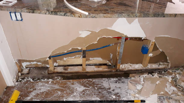 Best Professional water damage repair  in Ashburn, GA