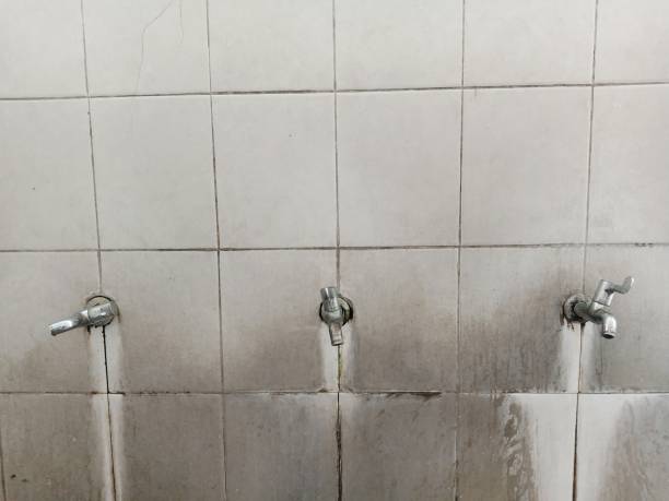 Trusted Ashburn, GA Water damage restoration Experts