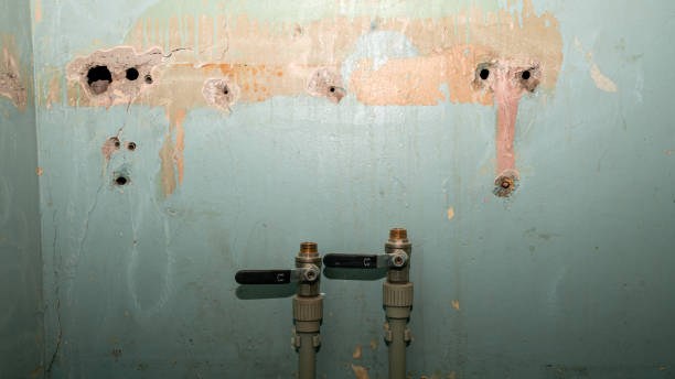 Best Mold removal after water damage  in Ashburn, GA