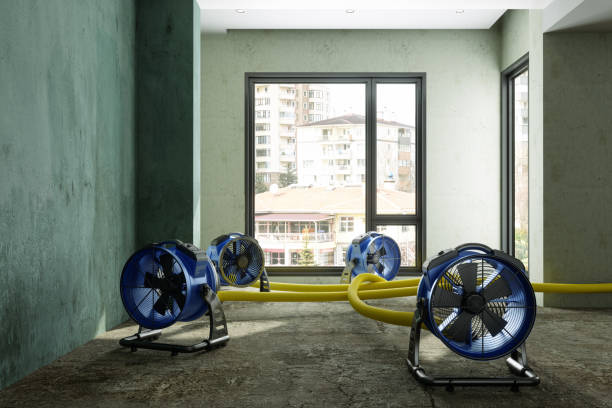 Best Flood restoration services  in Ashburn, GA