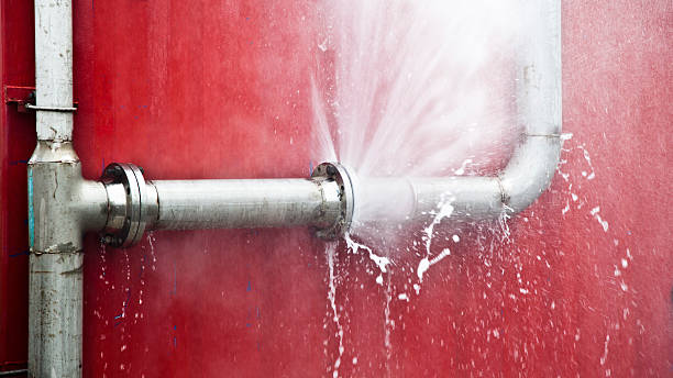 Best Flooded house restoration  in Ashburn, GA