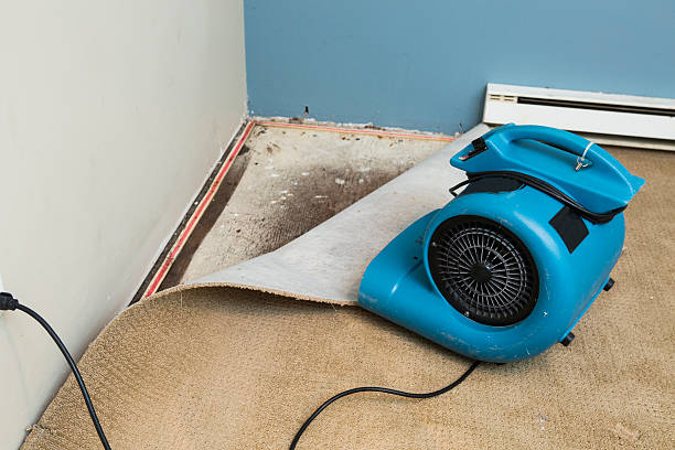Best Sewage cleanup and water damage restoration  in Ashburn, GA